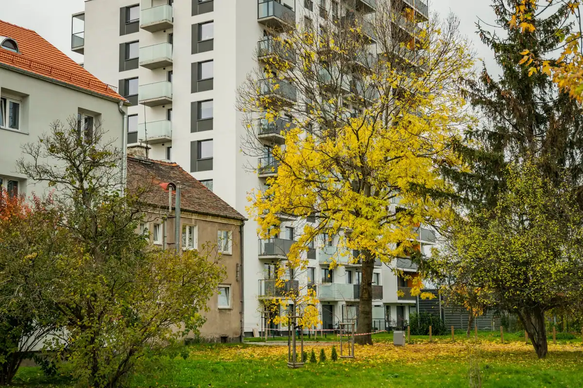 Blocuri de locuințe înconjurate de copaci colorați într-un cartier toamna